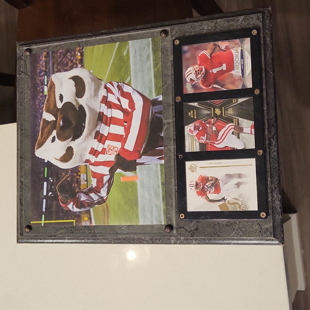 University of Wisconsin badgers wall art